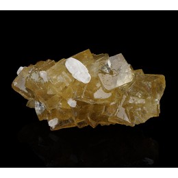 Fluorite, Calcite and Pyrite Villabona M05631